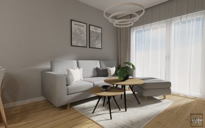 Salon z aneksem kuchennym